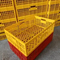سبد سبزی سبد فانتزی