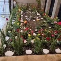 باغبانی باغچه کاری گلکاری بیلزنی خاک باغچه هرنوع