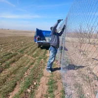 شخم زنی فنس کشی