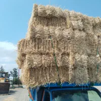 کاه بسته بندی جو و گندم
