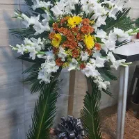 گل ایستاده بزرگ