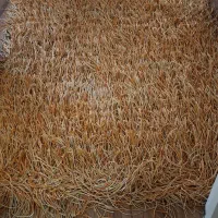 فرش فانتزی
