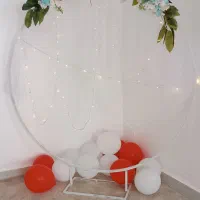 اجاره استند تولد