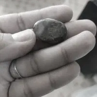 نگین شجر پاییزی
