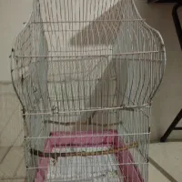 قفس|لوازم جانبی حیوانات|هشتگرد, شهرک افشاریه|دیوار