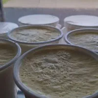 عرضه مستقیم لبنیات ماست شیر دوغ و...
