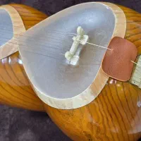 تار کاملا نو بدون استفاده|سازهای سنتی|قائمشهر, |دیوار