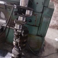 میلنگ میل لنگ اویکو استرالیس