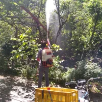 باغبانی ووتلیر ودرخت کاری در تمام نقاط مشهد|خدمات باغبانی و درختکاری|مشهد, توس فردوسی|دیوار