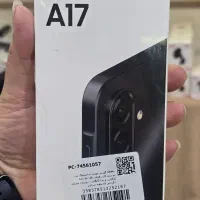a17
