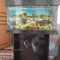 اکواریوم با میز