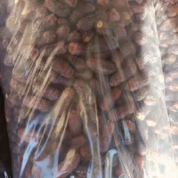 خرمای پیارم|خوردنی و آشامیدنی|جهرم, |دیوار