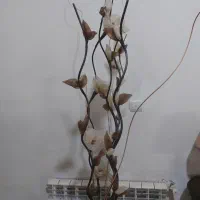 گلدان چوبی|گل و گیاه طبیعی|محمدیه-قزوین, |دیوار