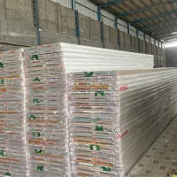 کارگر ساده آقا