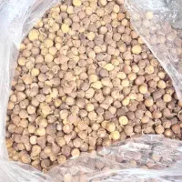 انجیر خشک استهبان