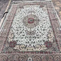 قالیچه ۶ وفرش ۱۲ متری|فرش|نوشهر, |دیوار