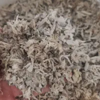 تفاله چغندر