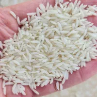 برنج صدری دم سیاه