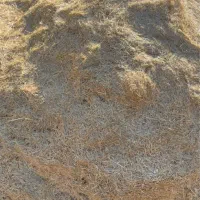 انواع کاه دیم گندم نخود عدس