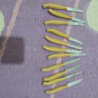 ۶ کاسه شیشه ای ۱۱عدد چاقو میوه خوری دو اردوخوری