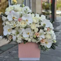 باکس گل افروز کد ۱۵۸۰ گلاریس|گل و گیاه طبیعی|تهران, دزاشیب|دیوار