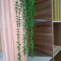 کمد طبقاتی جنس درجه 1|کتابخانه، شلف، قفسه‌های دیواری|اندیمشک, |دیوار