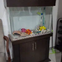 اکواریوم خارجی یک تیکه خم با کمد لوازم