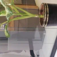 منشی خانم برای دفتر املاک آشنا به حسابداری الوند