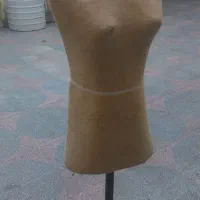 مانکن سوزن خور