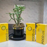 Poco c75 256شیائومی