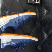 کتونی سالنی