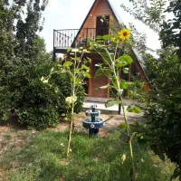 کلبه سوئیسی ترتمیز