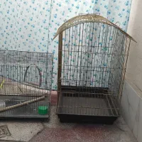 قفس|لوازم جانبی حیوانات|مشهد, شهید قربانی|دیوار