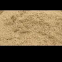 کاه خار شتری علف شوره. پیچک پخل ابی|عمده‌فروشی|تربت جام, میان جام|دیوار