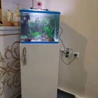 اکواریوم
