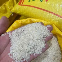 برنج فروشی گیلان|عمده‌فروشی|حویق, |دیوار