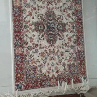 پادری نو