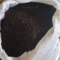 پهن خشک والک شده