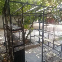 اسکلت دکه و کیوسک