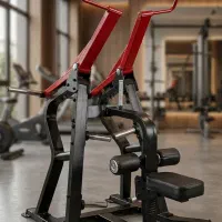 دستگاه لت وزنه آزاد استرلینگ (حرفه‌ای / بسیار نو)