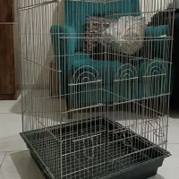 قفس پرنده