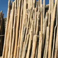 چوب اسباب بازی