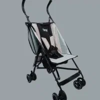 کالسکه عصایی