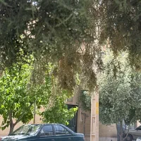 رهن-کامل-خانه-ویلایی-2طبفه