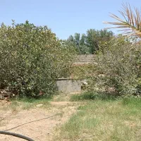 مغازه-11متری