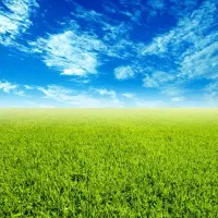 فروش قطعه ای زمین