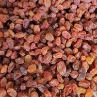 کشمش پاک شده اعلاء|خوردنی و آشامیدنی|خرمدره, |دیوار