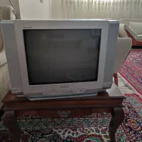 تلویزیون