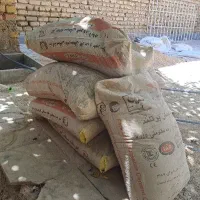 ۵ کیسه سیمان و گچ