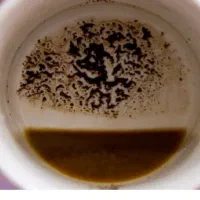 فال قهوه